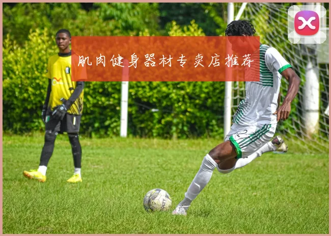 肌肉健身器材专卖店推荐