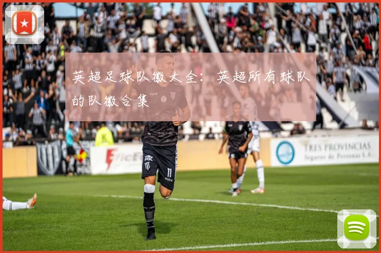 英超足球队徽大全：英超所有球队的队徽合集