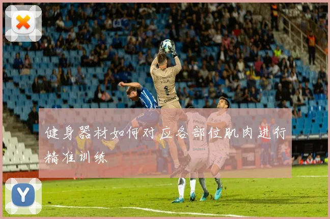 健身器材如何对应各部位肌肉进行精准训练