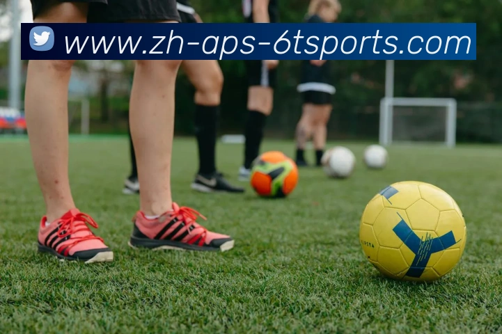 6T体育服务体系